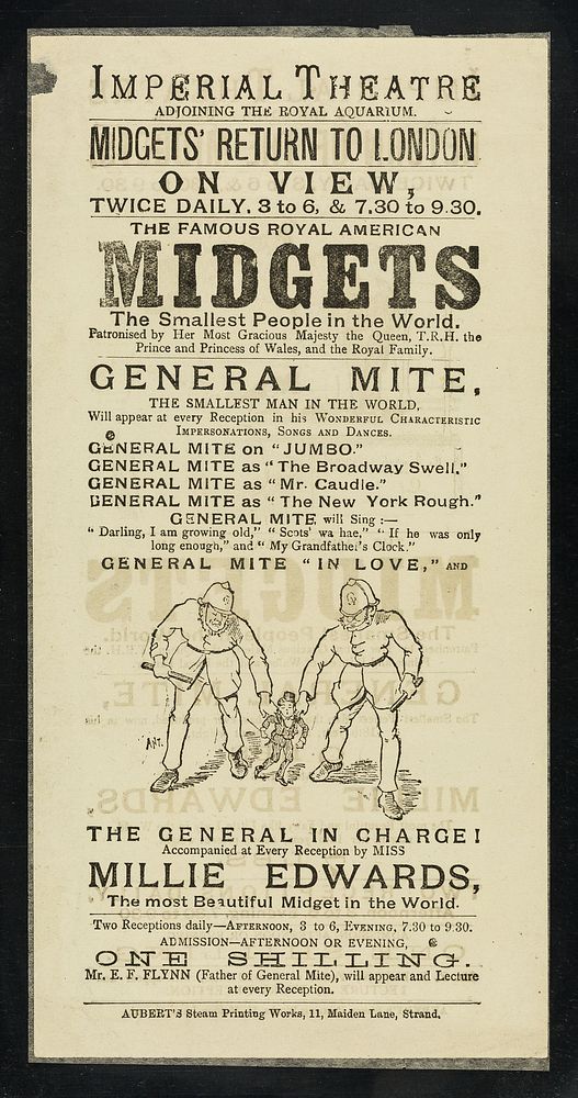 [Leaflet advertising the "midgets' return to London": General Mite, his father, E.F. Flynn and Miss Millie Edwards at the…