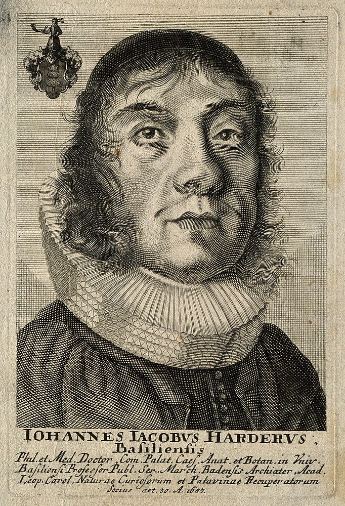 Johann Jakob Harder. Line engraving, 1687.
