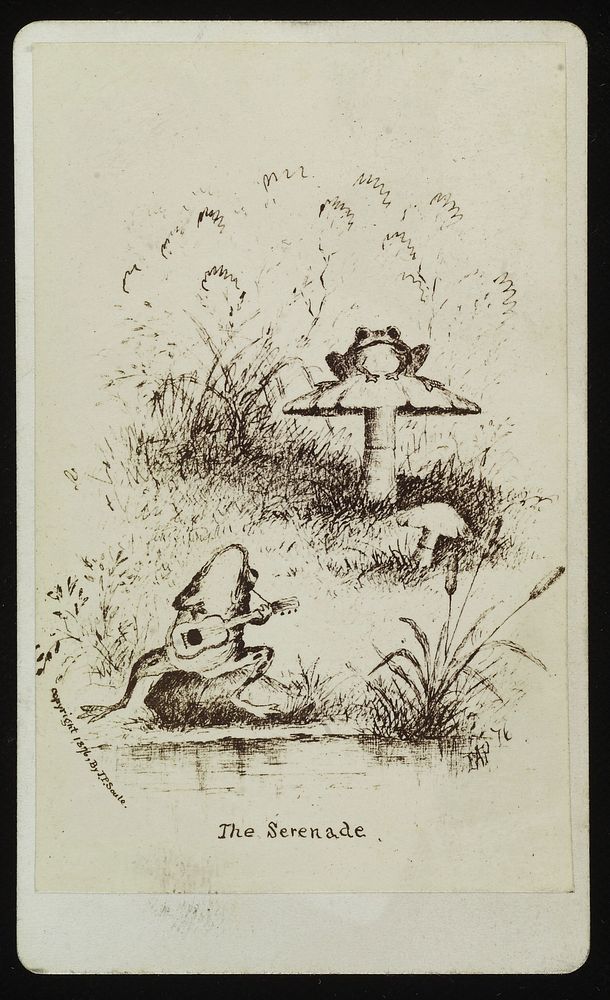 A male frog, playing a guitar, serenading a female seated on a mushroom. Photograph by J.P. Soule, 1876, after a drawing.