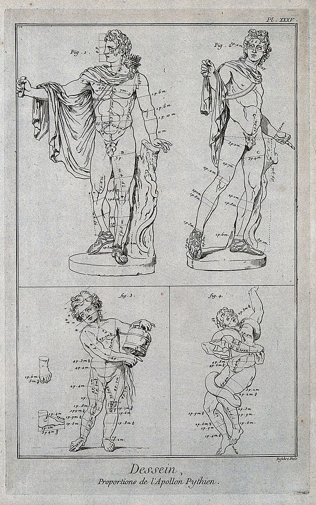 The Apollo Belvedere seen from the front and in three quarter view; a boy holding a water vessel; one of the sons of Laocoön…