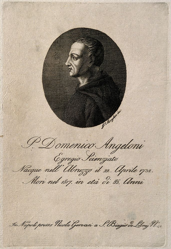 Domenico Angeloni. Line engraving by G. Morghen.