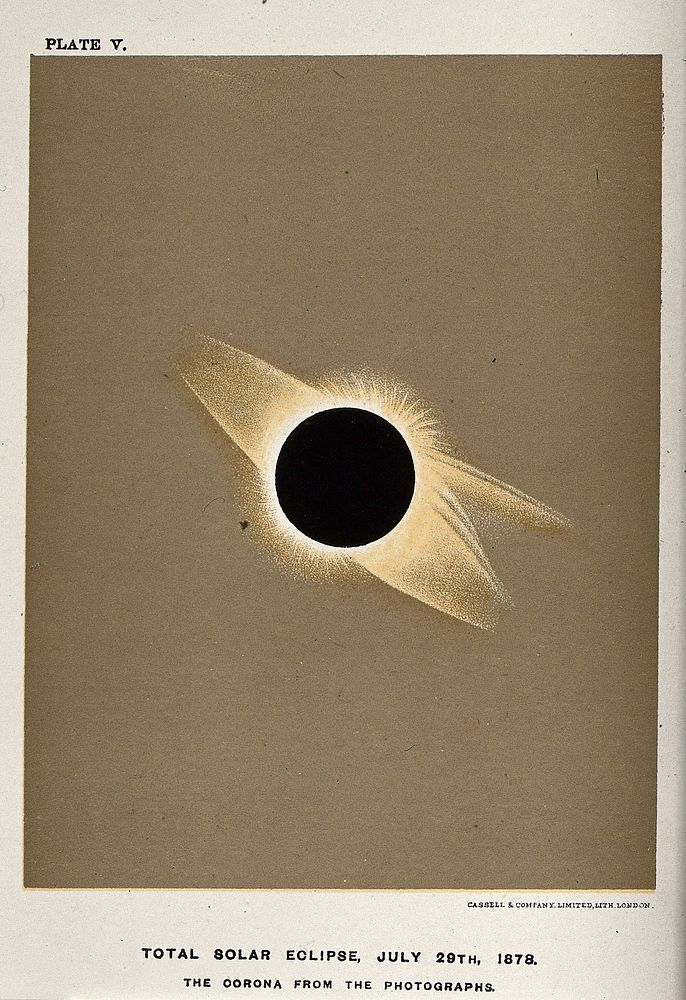 Astronomy: the corona of the sun, viewed during a total solar eclipse. Process print after a photograph, 1878.