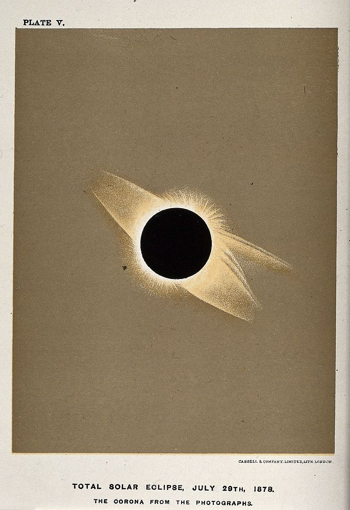 astronomy-corona-sun-viewed-total-free-photo-illustration-rawpixel
