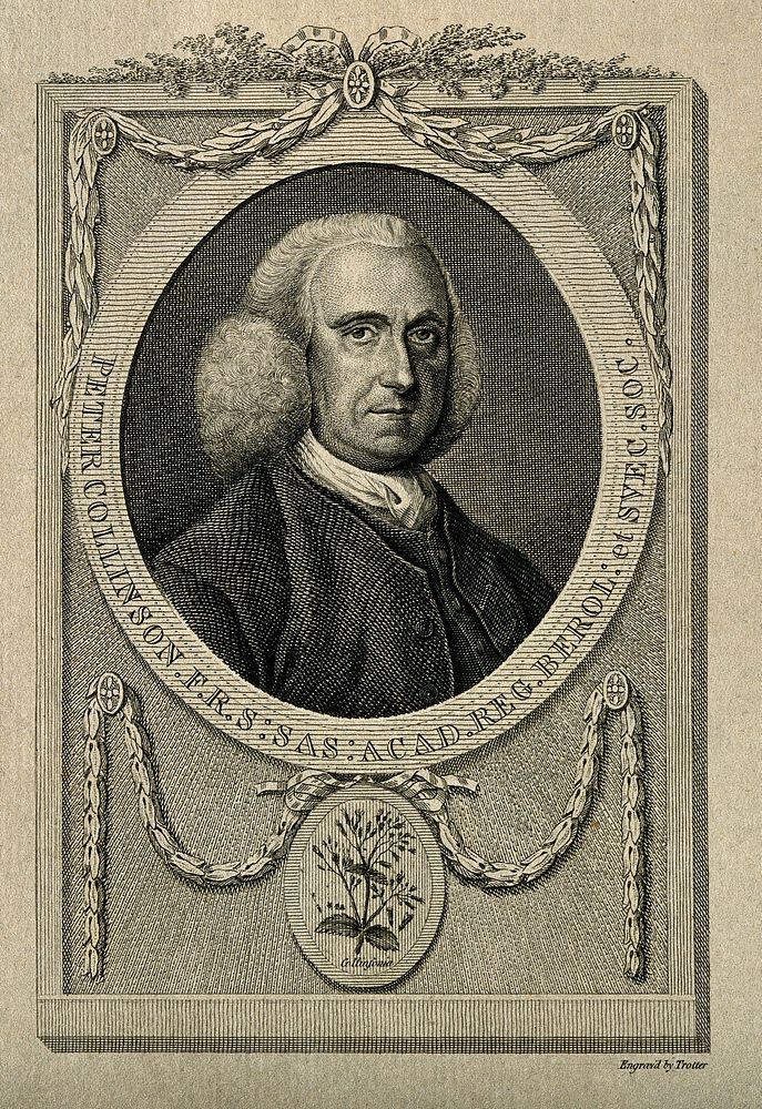 Peter Collinson. Line engraving by T. Trotter, 1783.