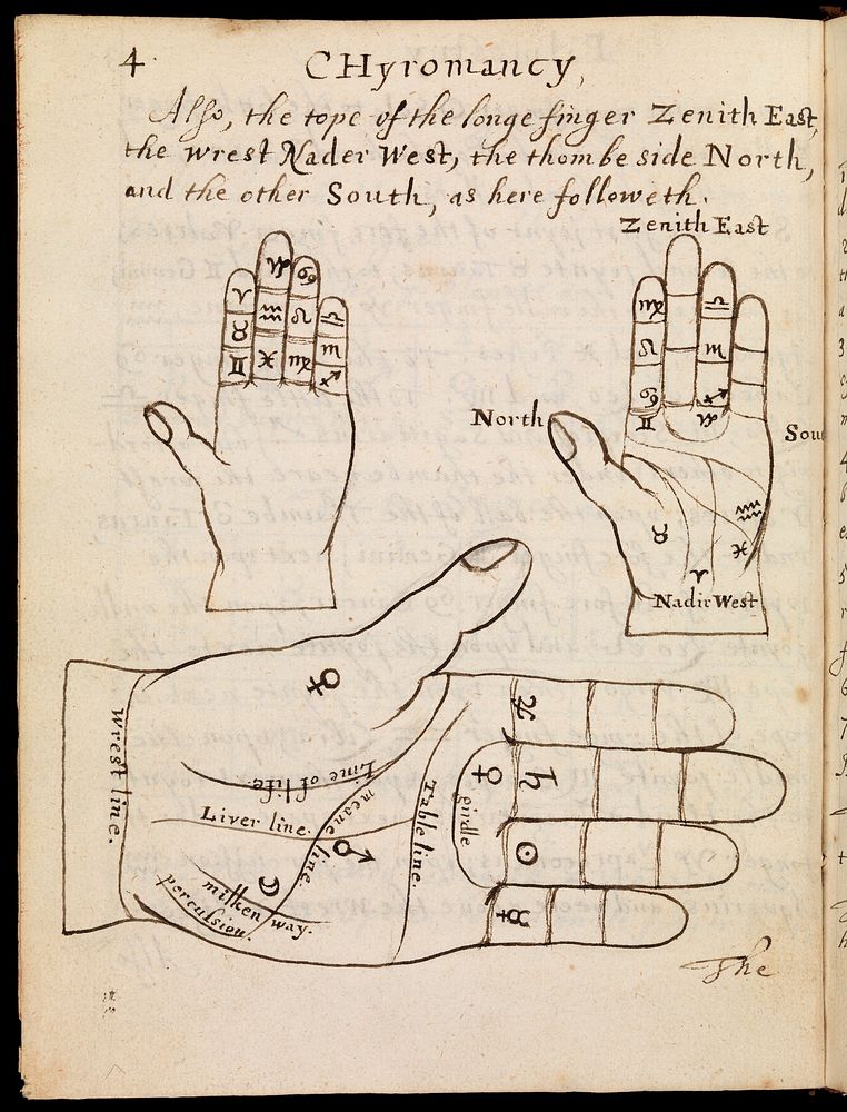 Illustration of 3 hands in Chyromancy