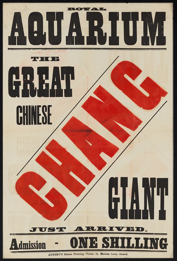 Royal Aquarium : Chang, the great Chinese giant : just arrived : admission one shilling.