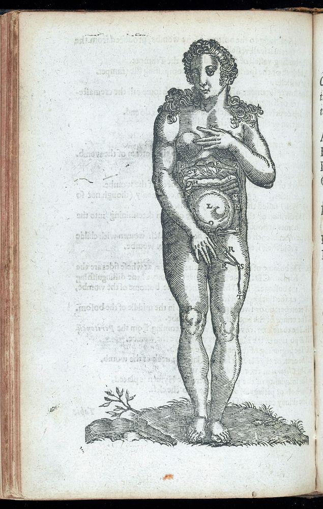 [Sōmatographia anthrōpinē (romanized form)] Or a description of the body of man. With the practise of chirurgery, and the…