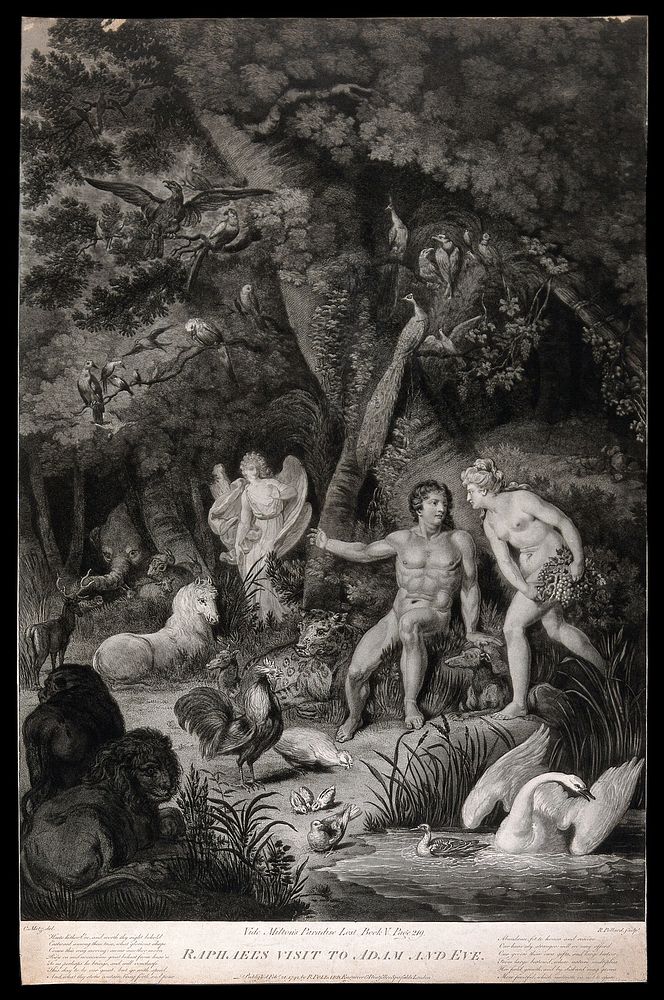 The angel Raphael appears among the animals in the garden of Eden to gaze upon Adam and Eve. Aquatint with etching by R.…