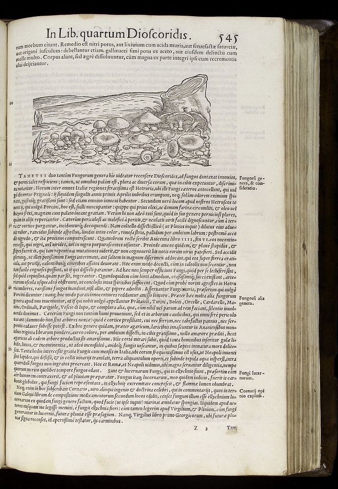 Commentarii secundo aucti, in libros sex Pedacii Dioscoridis Anazarbei de medica materia / Adjectis quam plurimis plantarum…