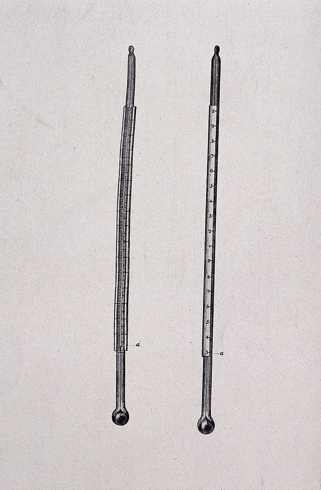 Two thermometers. Process print, 1910/1940.