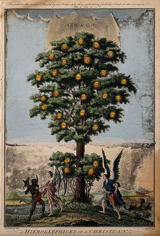 A tree bearing fruit labelled with virtues; representing the life of the Christian. Coloured etching by J. Couse, c. 1780…