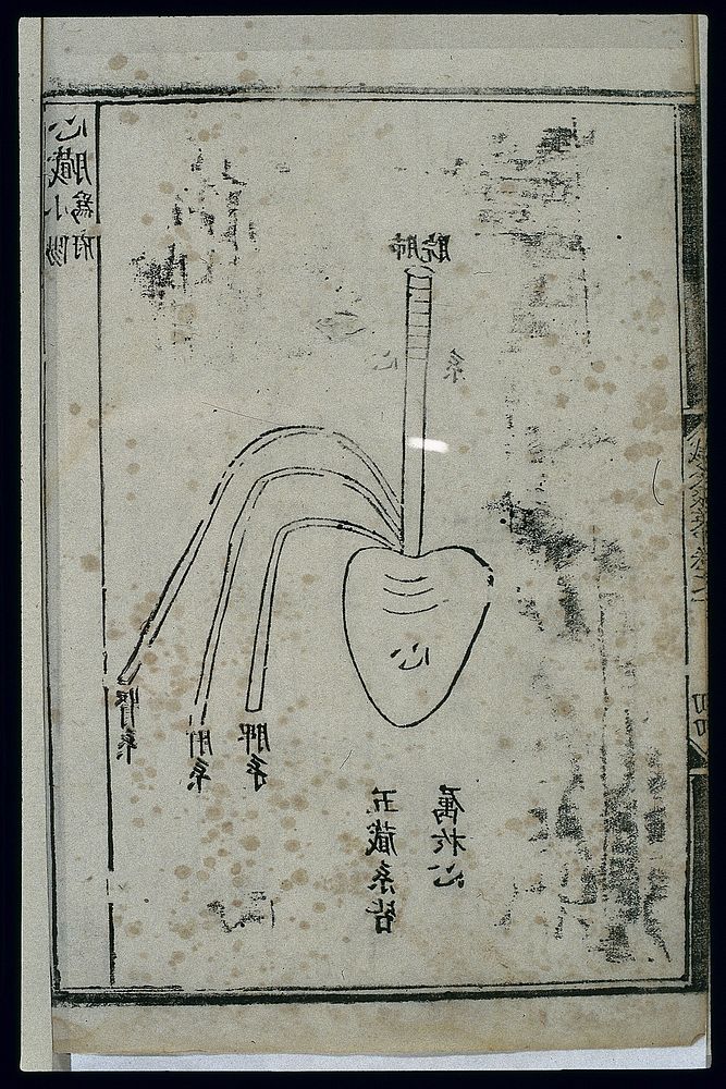 Anatomy of the heart in ancient Chinese medicine, woodcut