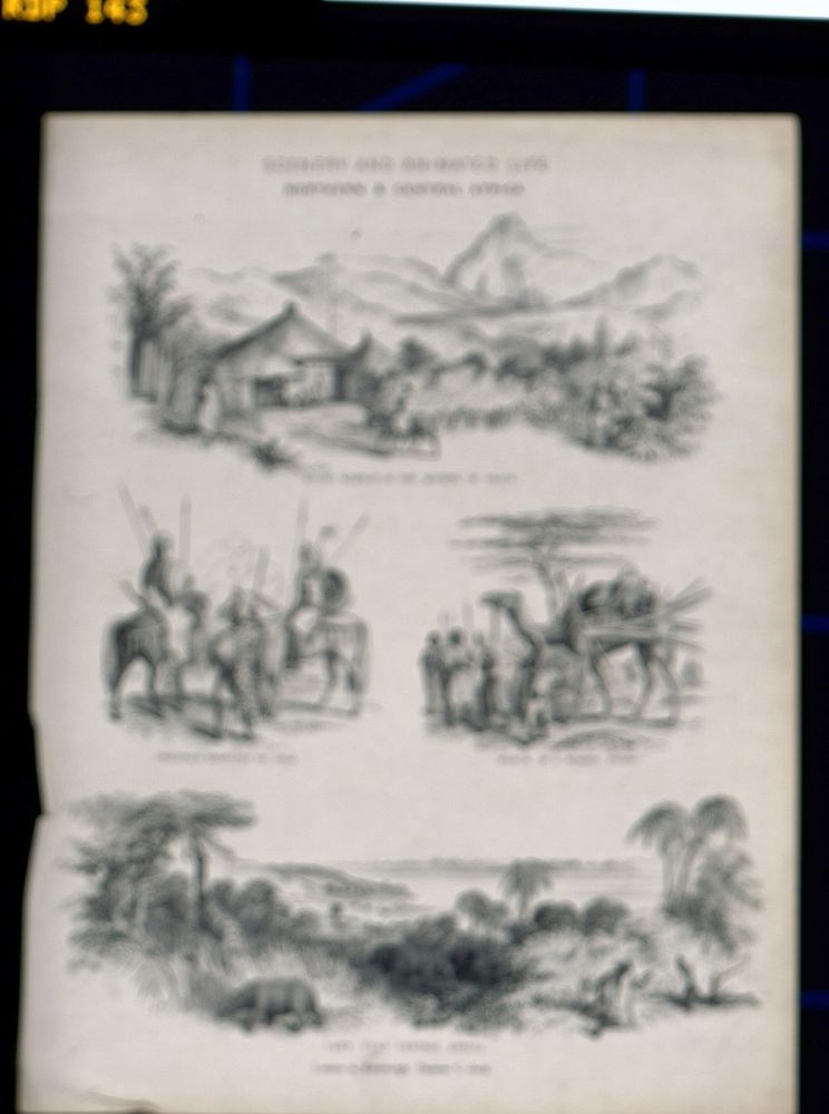 Northern and central Africa: indigenous peoples, landscapes and animals. Lithograph.