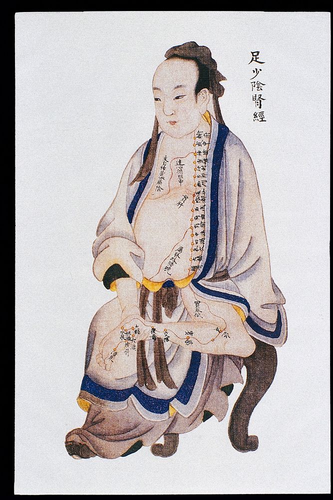 Kidney channel of leg shaoyin, C17/18 Chinese book art