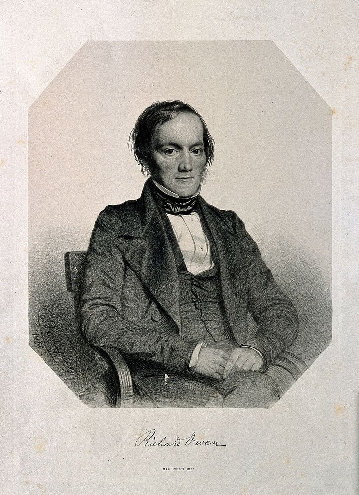 Sir Richard Owen. Lithograph by T. H. Maguire, 1850.
