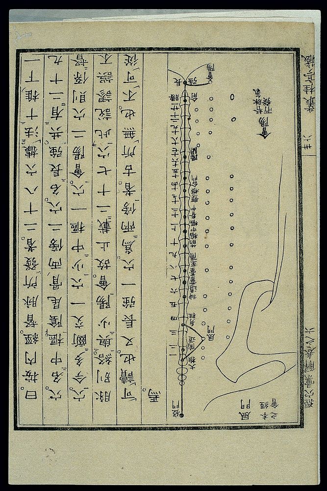 Acu-moxa chart: Dumai (Governor Vessel), Japanese woodcut