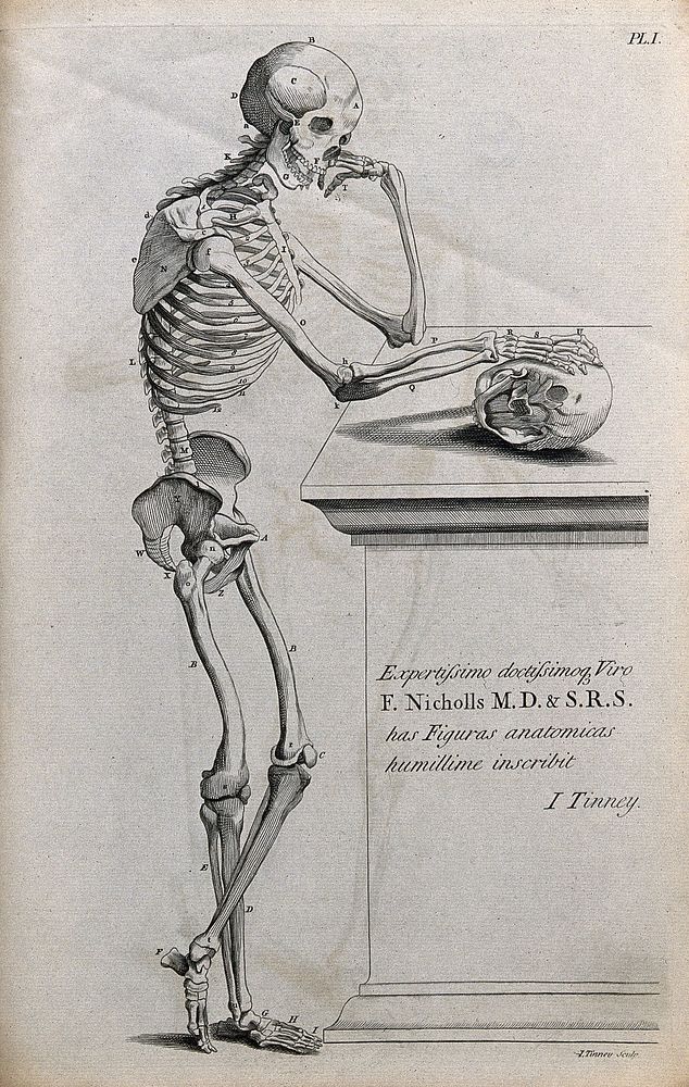 A skeleton leaning on an inscribed tombstone, resting his right hand on a skull. Line engraving by J. Tinney, 1743, after A.…