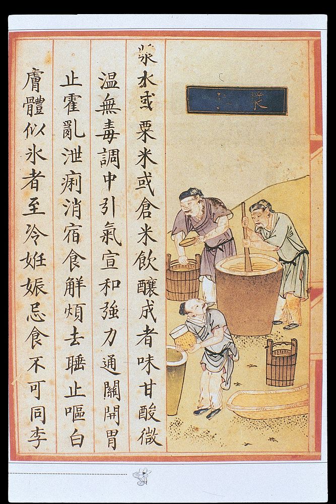 Chinese Materia Dietetica, Ming: Vinegar
