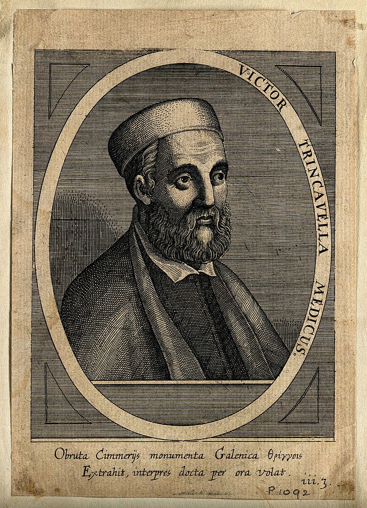 Victor Trincavellius. Line engraving by C. Ammon.