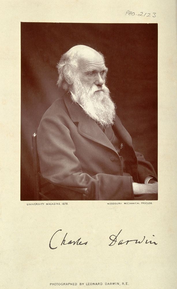 Charles Robert Darwin. Photograph by L. Darwin.