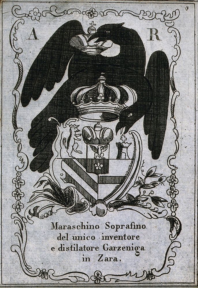 A maraschino label illustrated with two birds and a coat of arms. Engraving, 19th century.