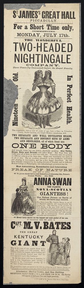 For a short time only, commencing Monday, July 17th : the wonderful Two-Headed Nightingale Company ... also Miss Anna Swan…