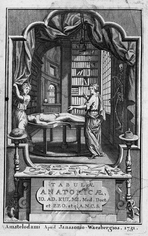 Tabulae anatomicae in quibus corporis humani omniumque ejus partium structura et usus brevissime explicantur. Acc. ...…