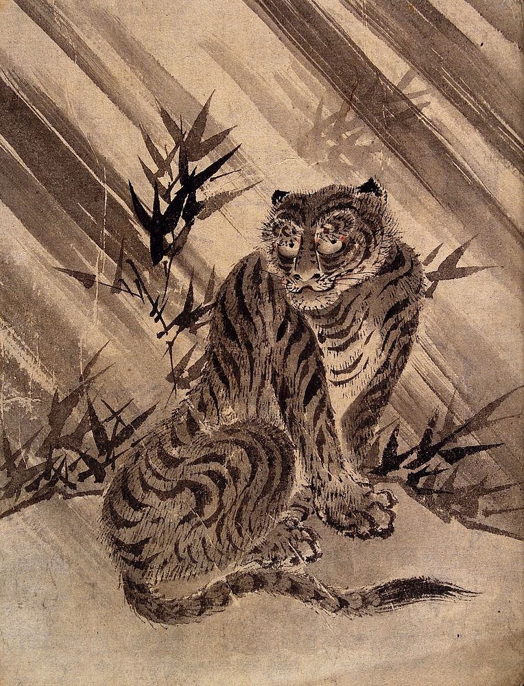 A tiger resting in front of bamboo trees. Watercolour by a Chinese artist.