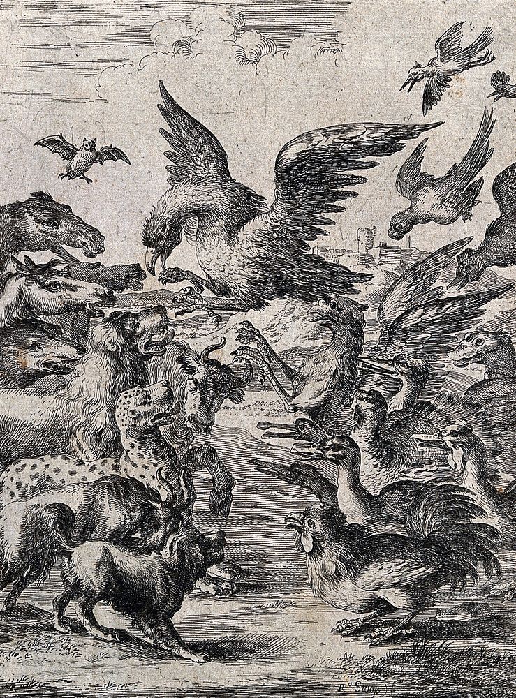 A bird of prey is trying to land among a large crowd of animals; illustration of a fable. Etching by D. Stoop.
