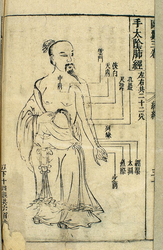 17th C Chinese acupuncture chart, lung channel of hand taiyin