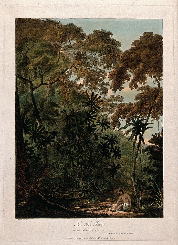 Krakatoa: fan palm (Chamaerops humilis L.) with surrounding tropical forest and native woman. Coloured soft-ground etching…