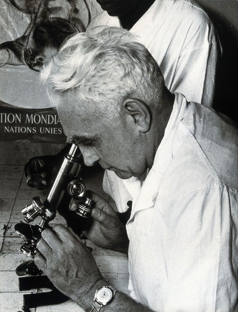 Henry (Henri) G.S. Morin looking at some microscopic slides. Photograph by L.J. Bruce-Chwatt.