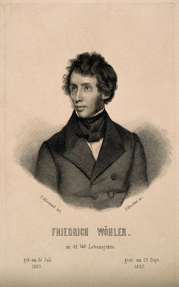 Friedrich Wöhler. Engraving by C. Becker after C. L'Allemand.