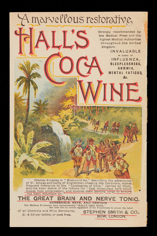 Hall's Coca Wine : a marvellous restorative / Stephen Smith & Co.