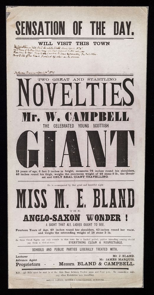 Sensation of the day : will visit this town two great and startling novelties : Mr. W. Campbell the celebrated young…