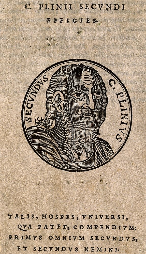 Caius Plinius Secundus. Woodcut.