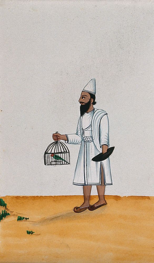 A servant holds a parrot in a cage with one hand while the other is immersed in a bowl of grain . Watercolour by an Indian…