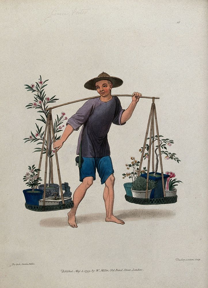 A Chinese street vendor selling plants and flowers. Coloured stipple engraving by J. Dadley after Pu-Qua.