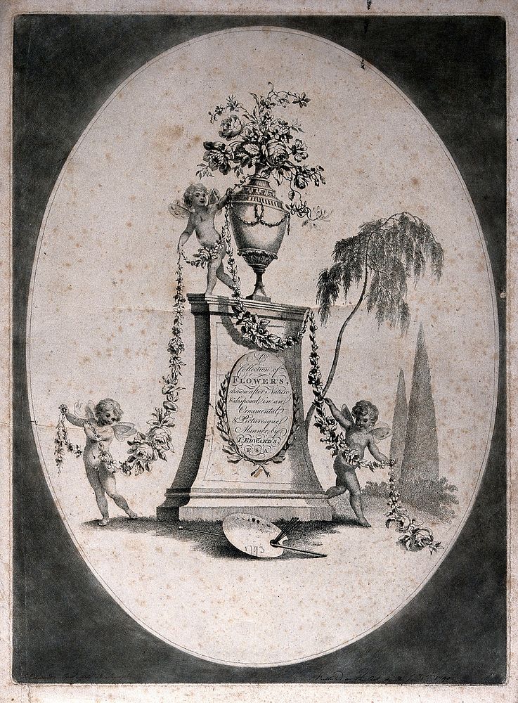 A collection of flowers in ornamental arrangement with garland, urn and cherubs. Etching by J. Edwards, c.1790, after…