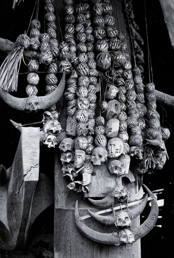 Trophies headhunter's house Chang Naga | Free Photo - rawpixel