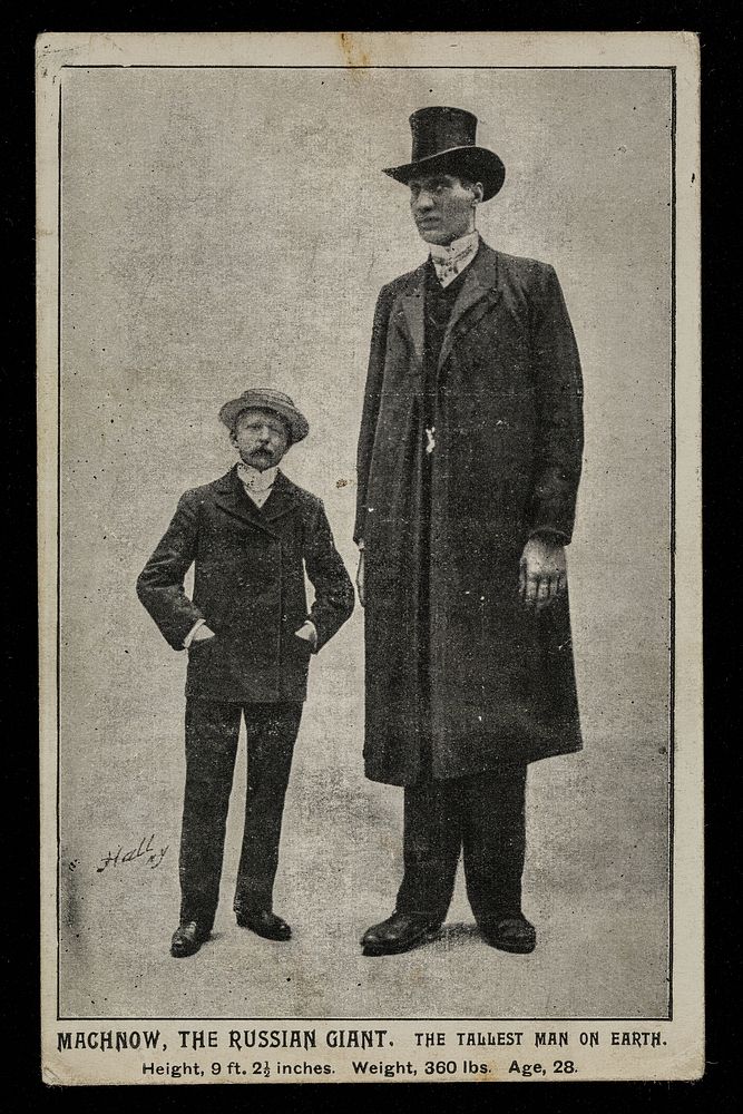 Machnow : the Russian giant : the tallest man on Earth : Height, 9ft 2 1/2 inches. Weight, 360 lbs. Age, 28.
