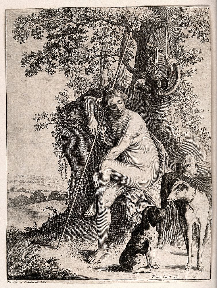 Diana [Artemis]. Engraving by P. Pontius and etching by W. Hollar after P. van Avont.