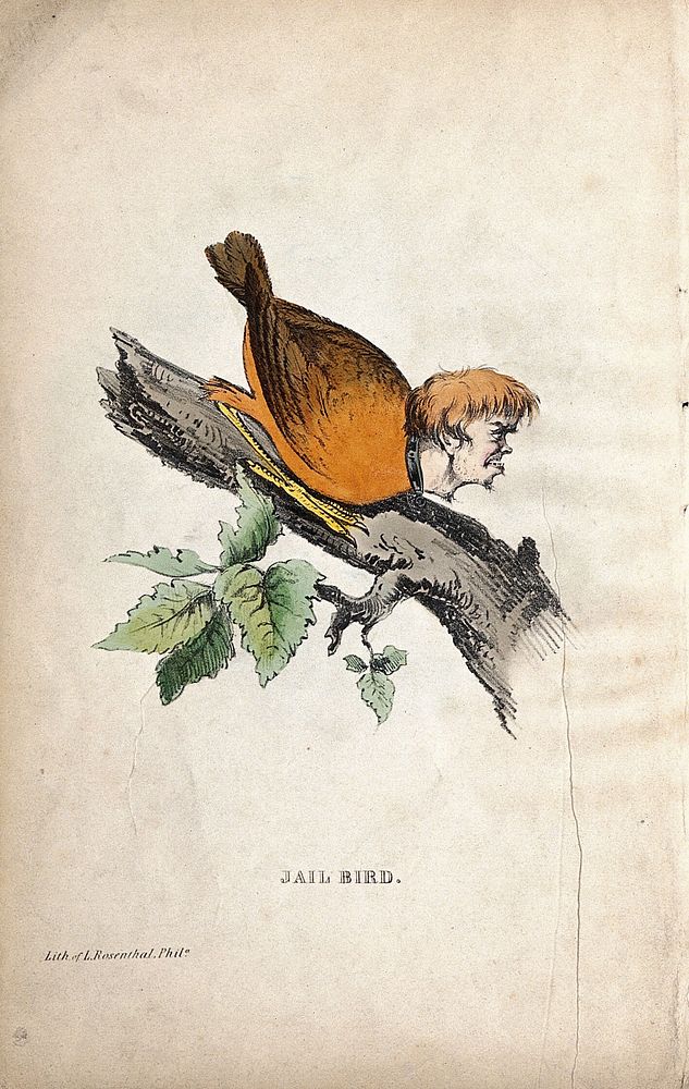 An anthropomorphical figure consisting of a bird's body and a human head is sitting on a branch of a tree. Coloured…