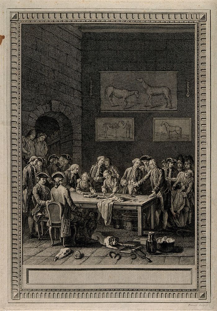 Men with two boys attending a demonstration on the anatomy of the horse. Etching with engraving by Prevost after C.F.…