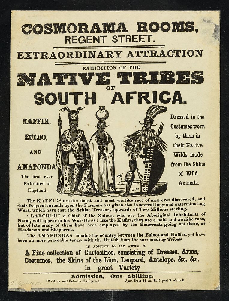 [Undated handbill (1850) advertising "a display of African tribesmen in traditonal costumes at Cosmorama Rooms, Regent…