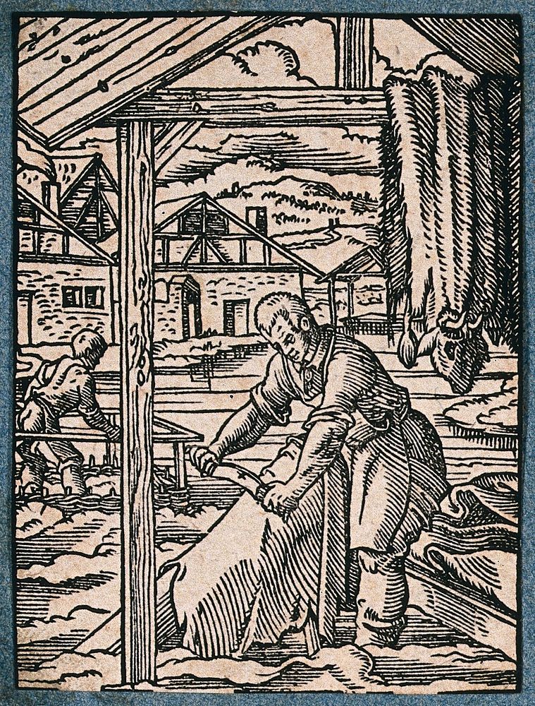 A tanner or leather worker scraping animal hides. Woodcut by J. Amman.