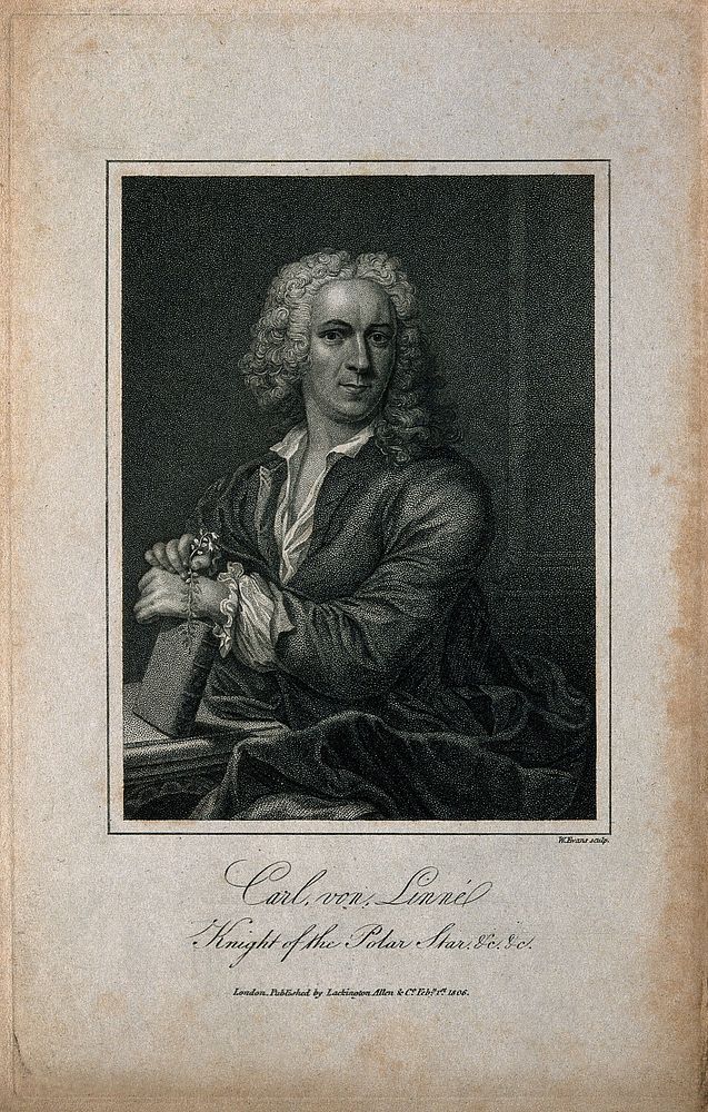Carolus Linnaeus. Stipple engraving by W. Evans, 1806, after Ehrensverd.