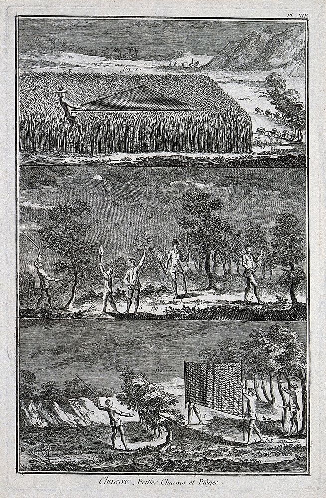 Hunting: nets for catching ground birds, and hunting at night with torches. Engraving, c.1762, by B.-L. Prevost.