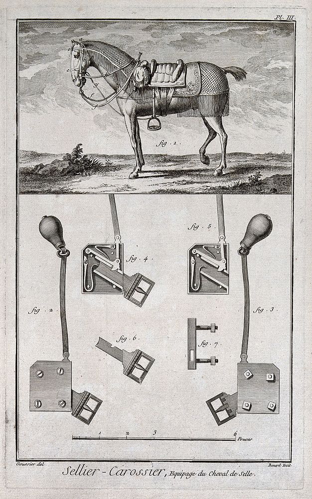 A horse (top) showing all the fashionable tack, and details of the locking mechanism for the tack (below). Engraving…