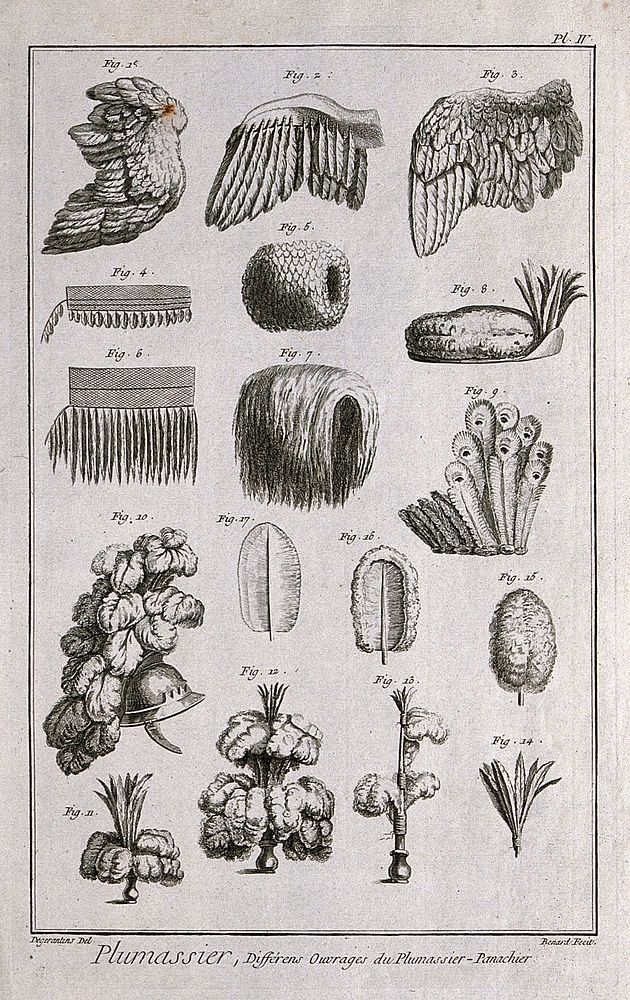 Various feather accessories for wigs and hair. Engraving by R. Bénard after Degerantins.
